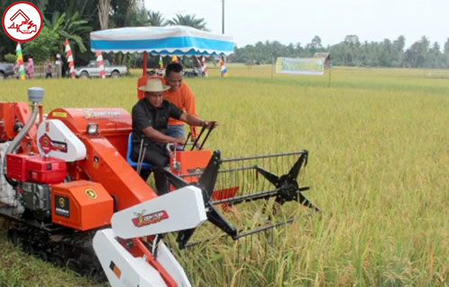 Manfaat Mesin Pamanen Padi